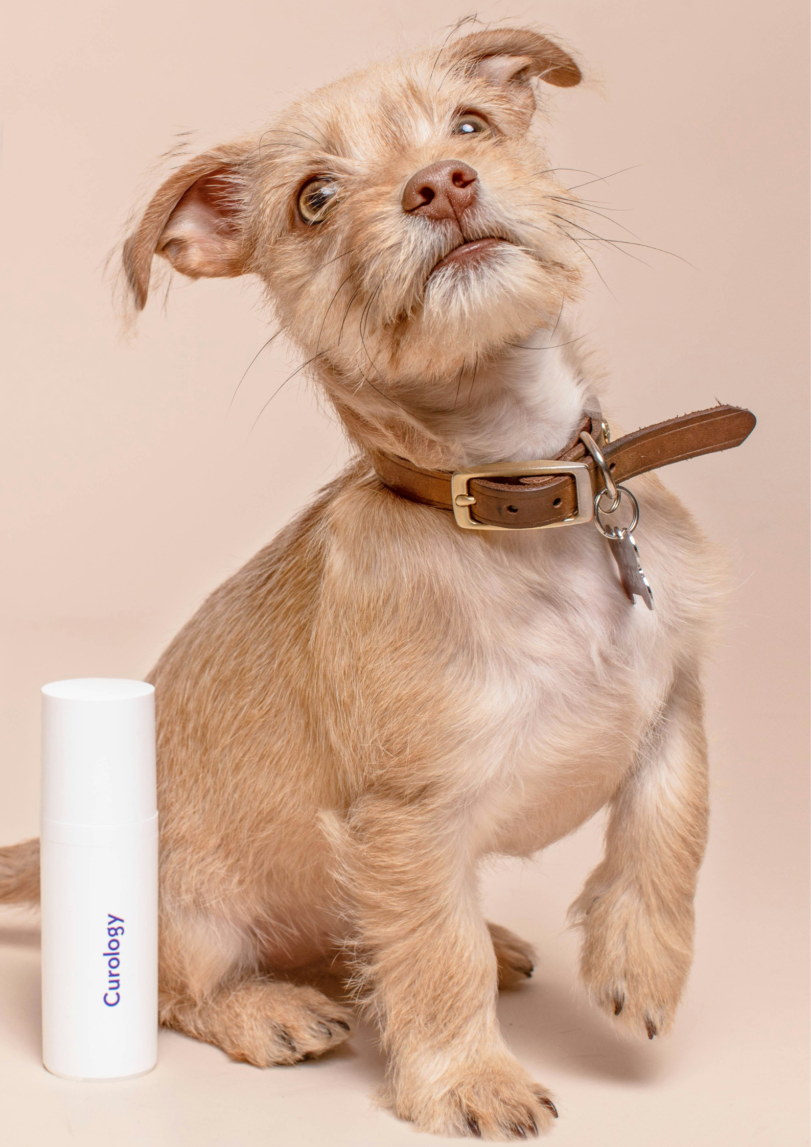 Pet Grooming products.