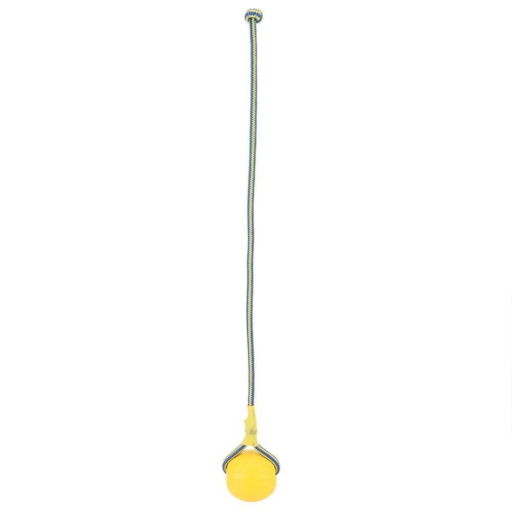 Golden Retriever Band Bouncing Ball Training Funny Pet Products